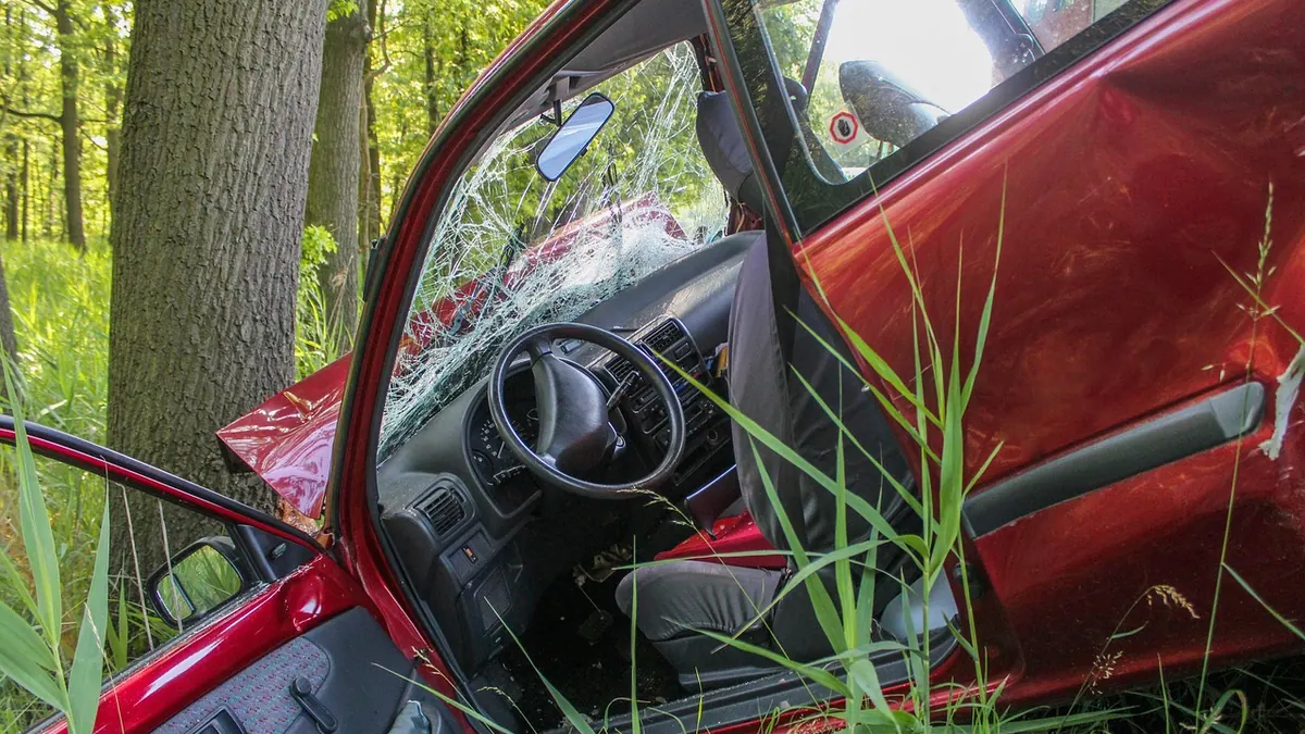 Voiture accidentée contre un arbre, triangle de signalisation
